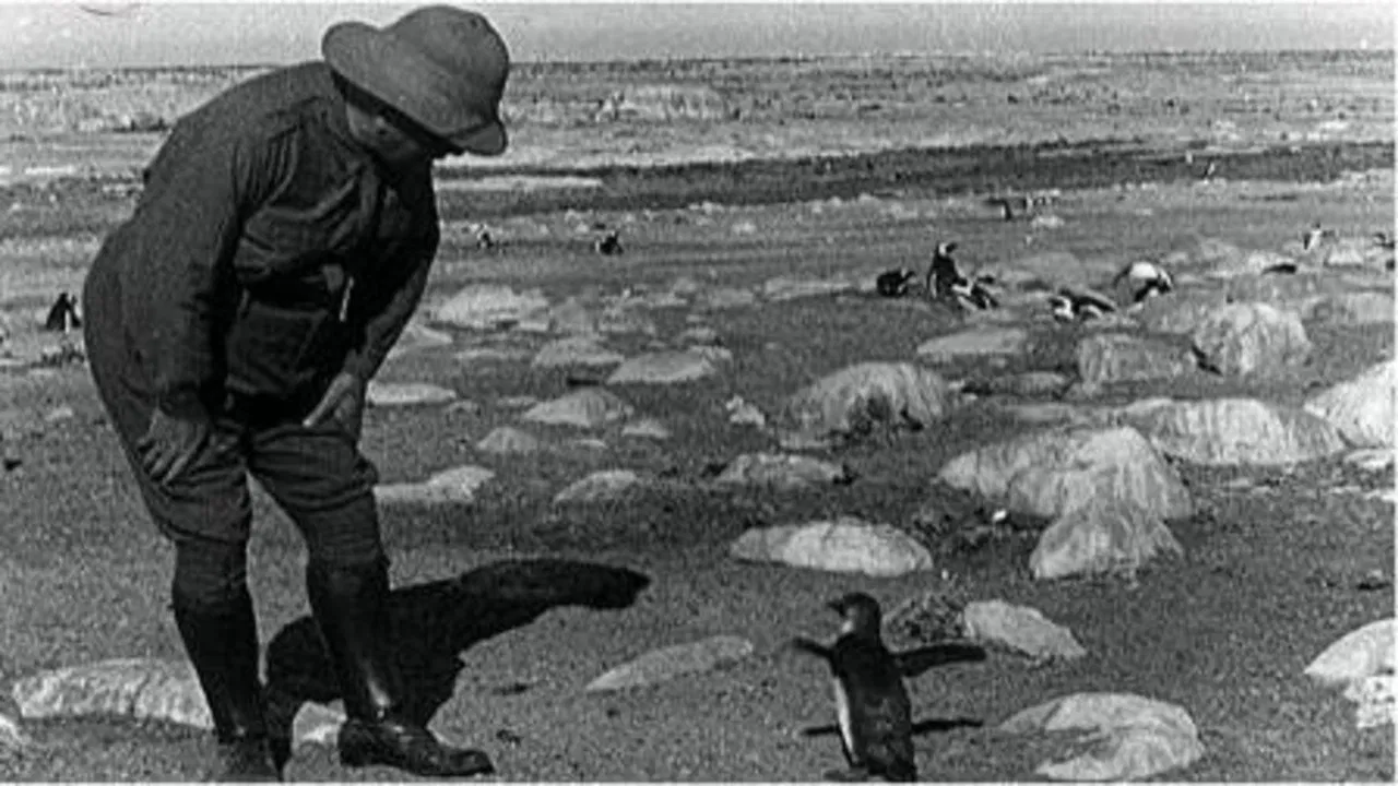 Dassan: An Adventure in Search of Laughter Featuring Nature's Greatest Little Comedians backdrop