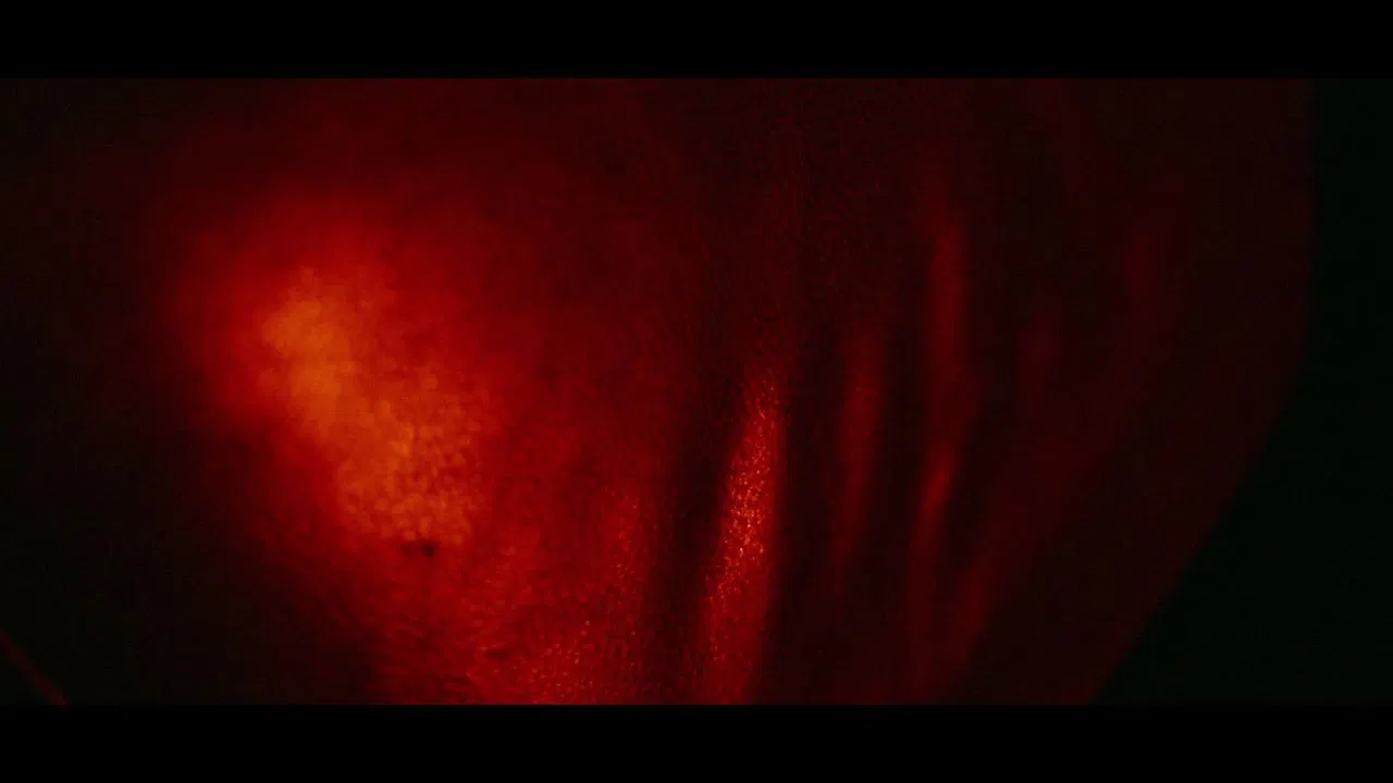 Flesh, Board, and Nails backdrop