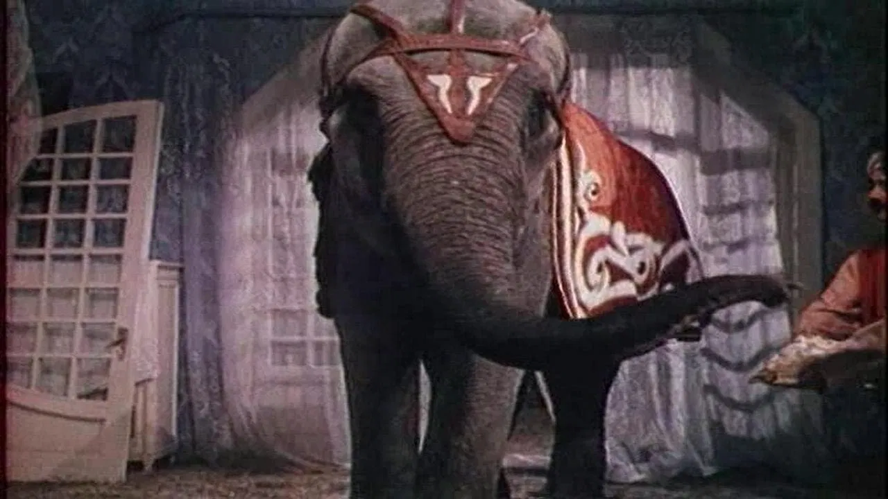 And Then Came Bumbo... backdrop