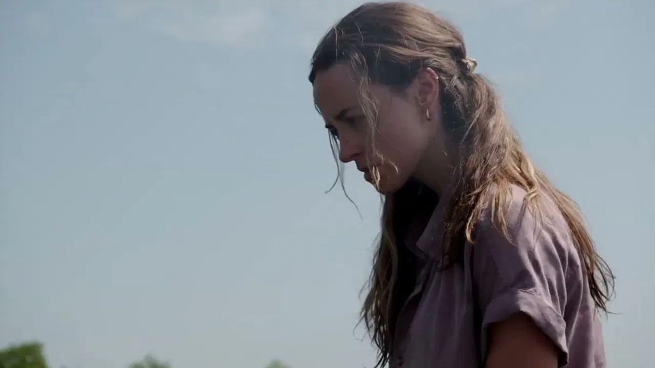 Lone Star Shark backdrop