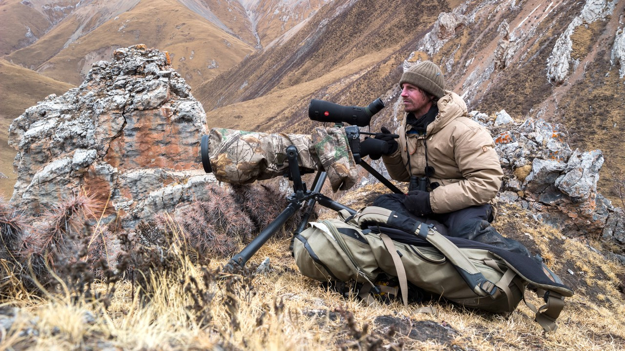 Sur les traces de la panthère des neiges backdrop