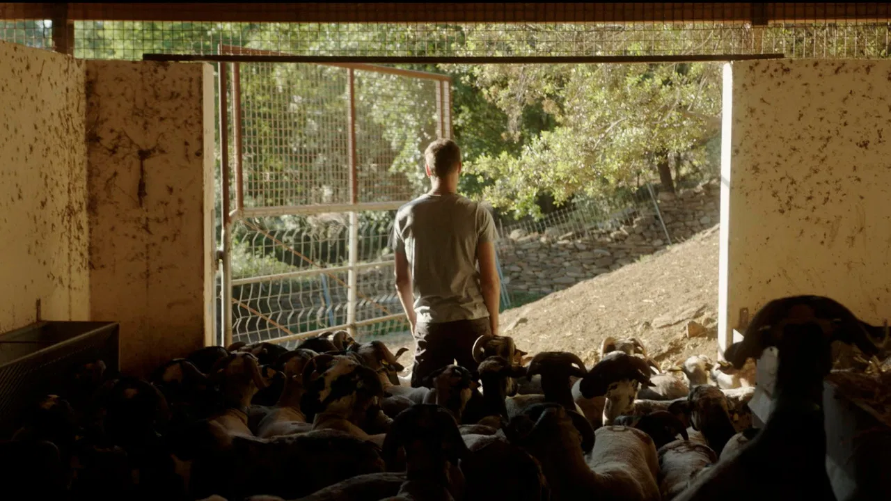 Children of May backdrop