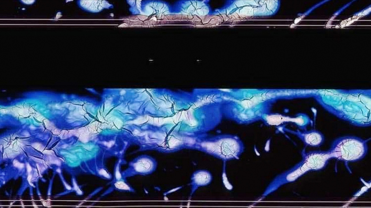 The Cracked Share backdrop