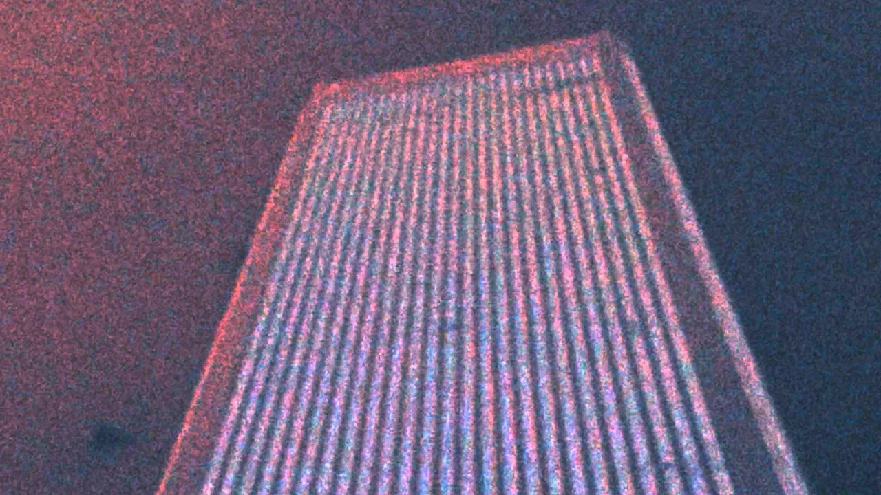 Animal Breathing backdrop