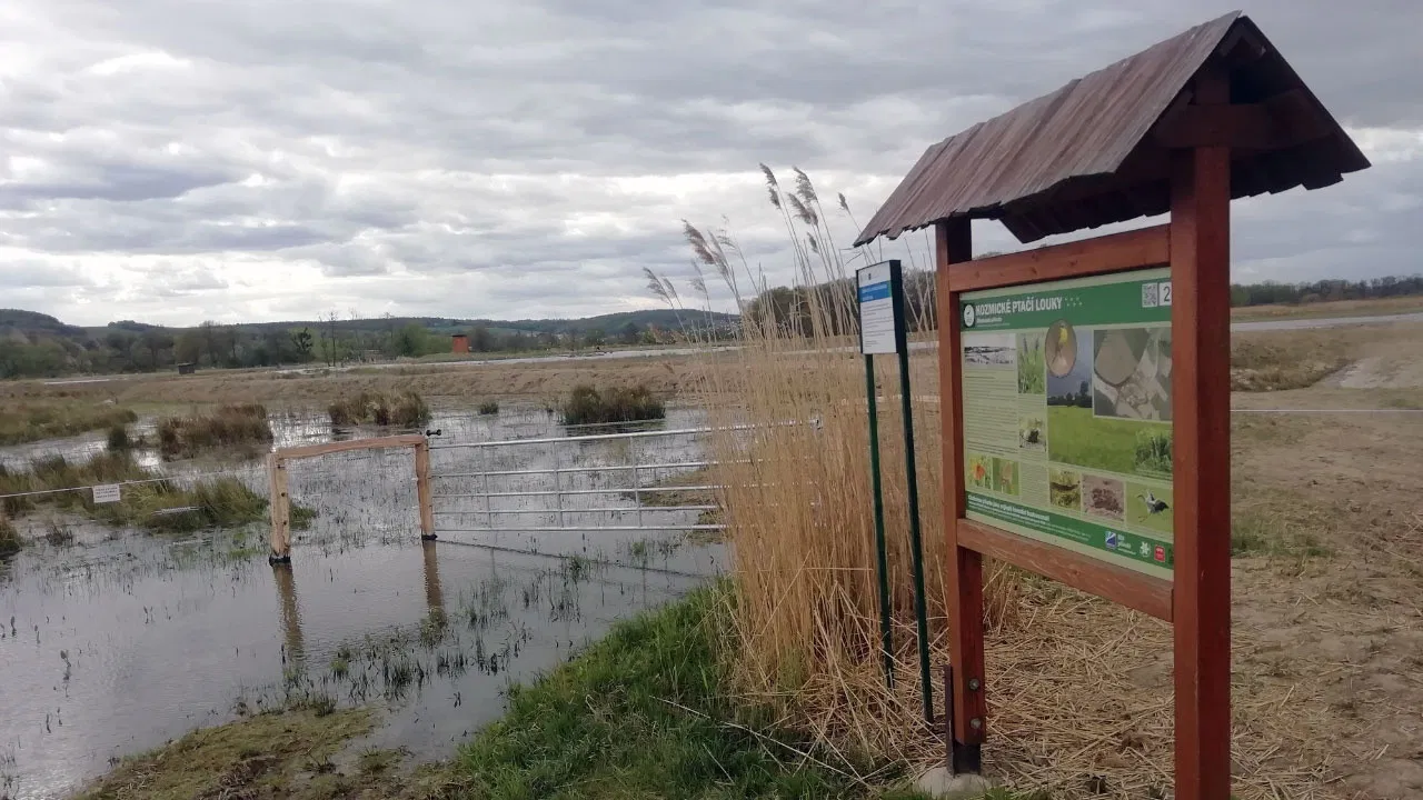 Česko řeší klima backdrop