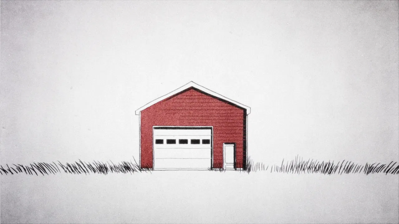 Wild Flowers backdrop