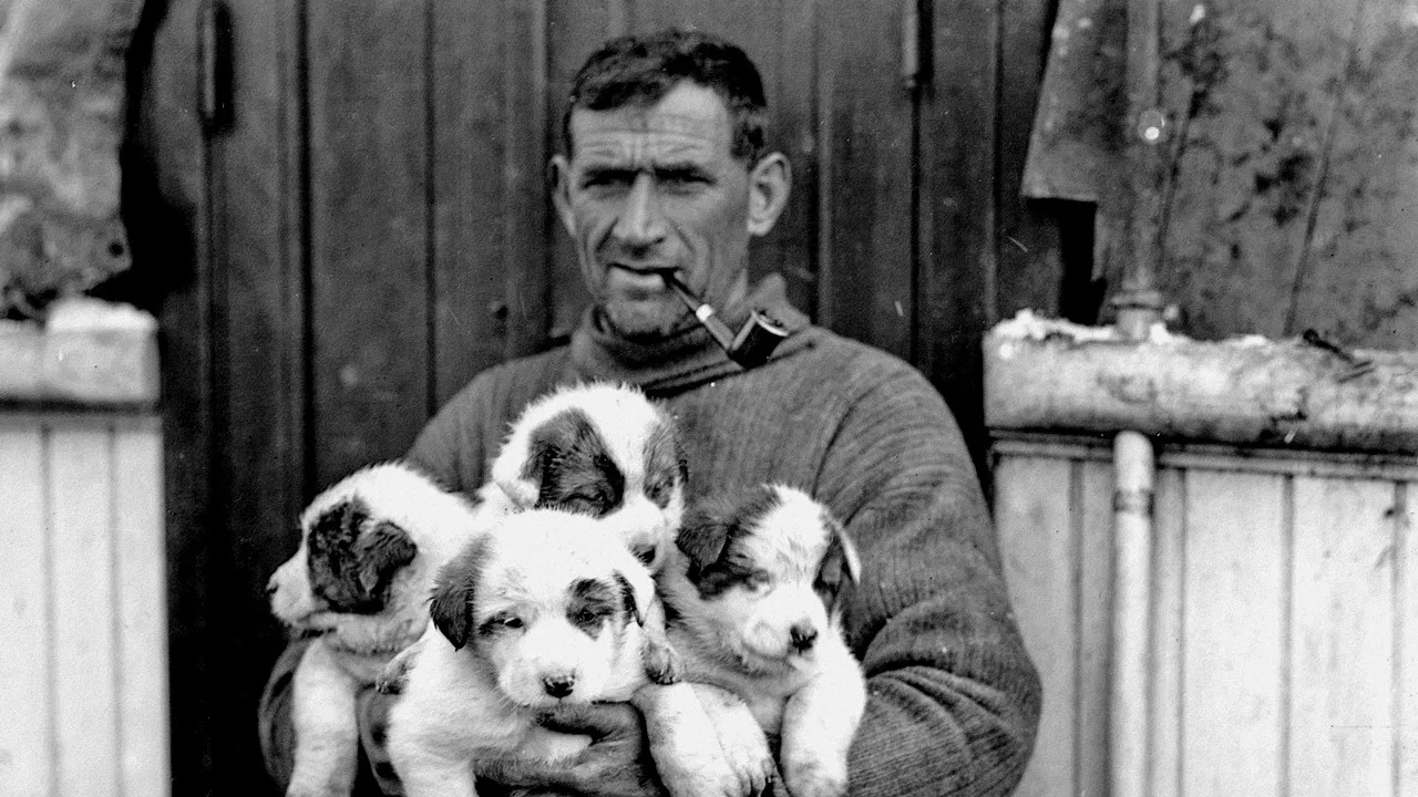 Tom Crean: Antarctica's Forgotten Hero backdrop