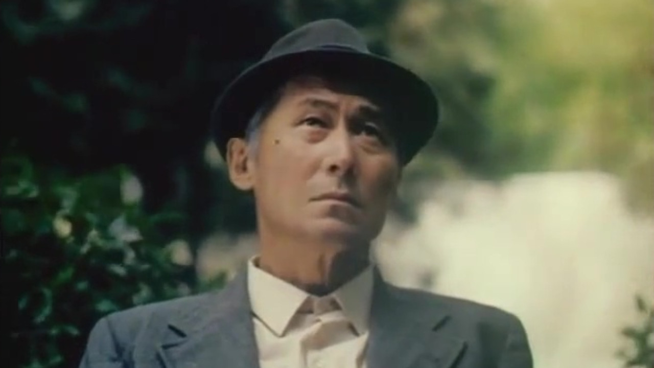 Sunday Walks backdrop