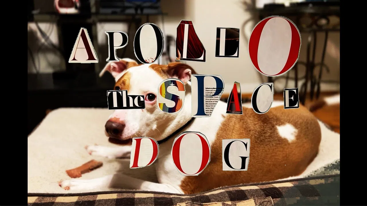 Apollo: The Space Dog backdrop