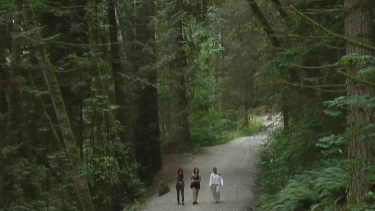 You Hide in Hope backdrop