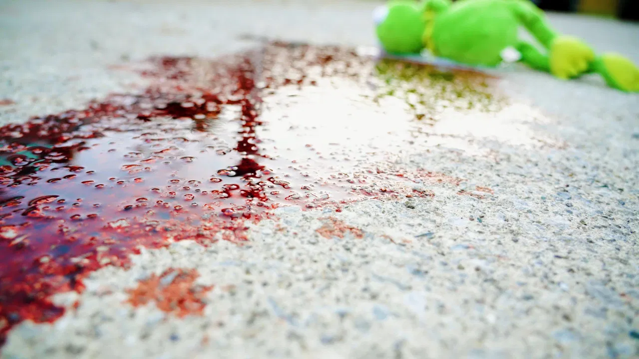 What's On the Other Side backdrop