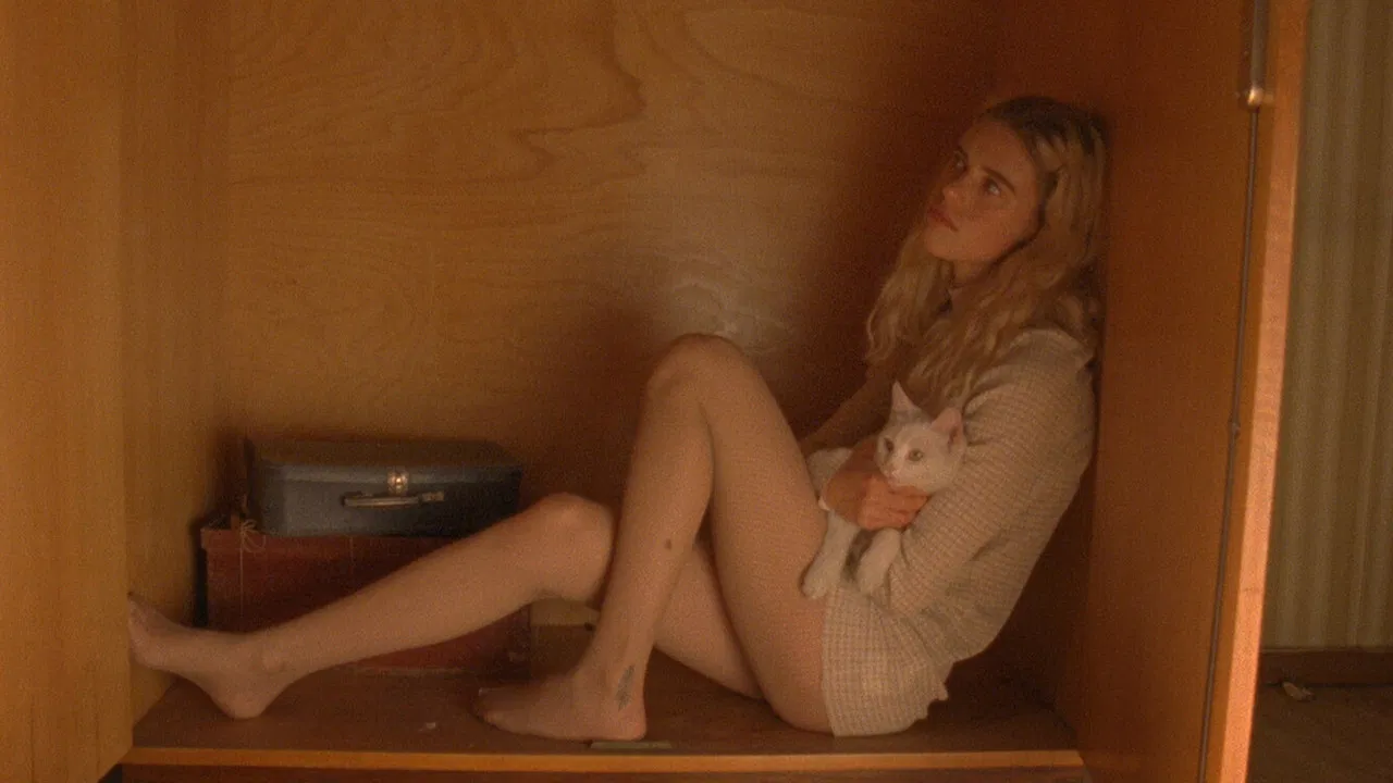 Я скажу это первым backdrop