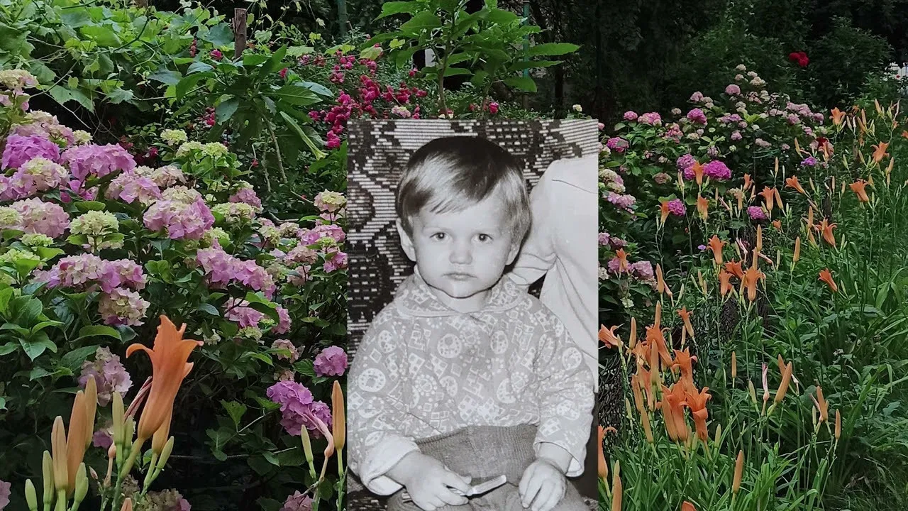 Peace and Tranquility backdrop
