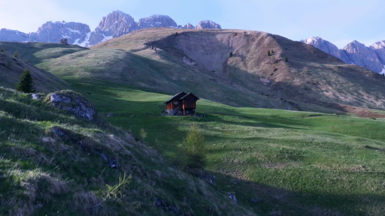 Mettiti a Focus! backdrop