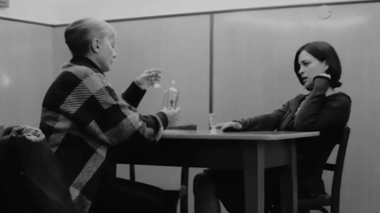 The Daughter backdrop