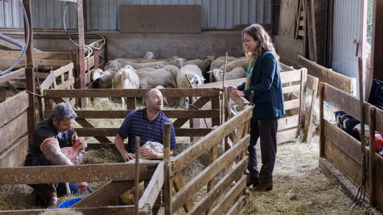 La Doc et le Véto backdrop