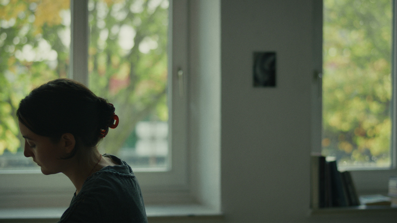 You say that you're staying at the part because you're having fun backdrop