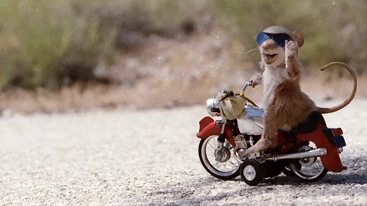 Runaway Ralph backdrop