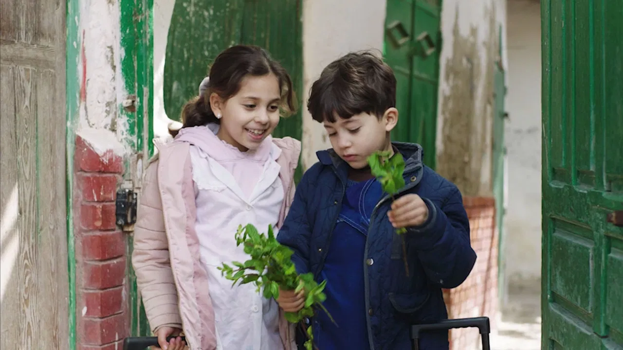 Water For The Birds backdrop