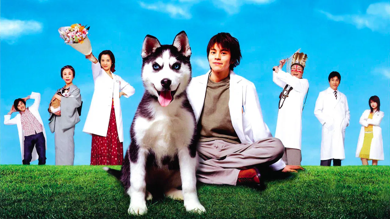 動物のお医者さん backdrop