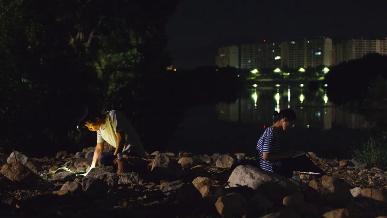 Stars and Sand backdrop
