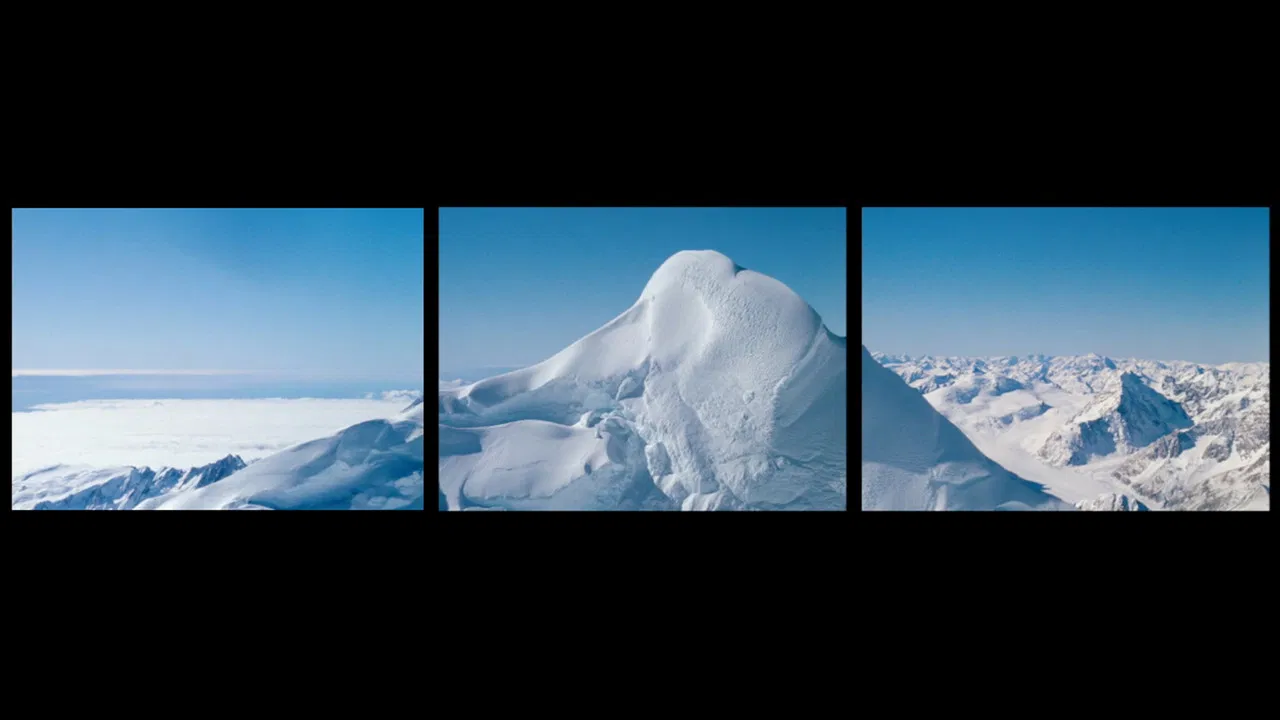 This Is New Zealand backdrop