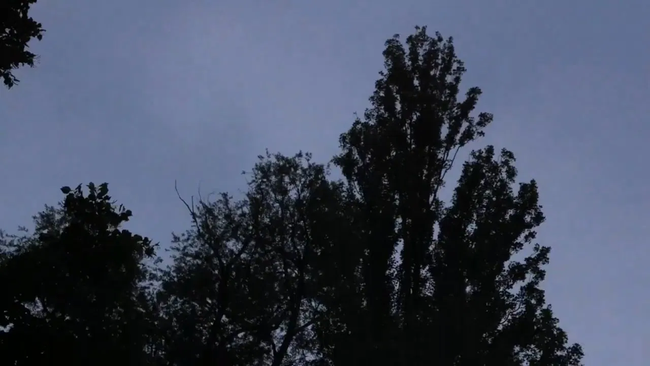 Newton's cradle backdrop