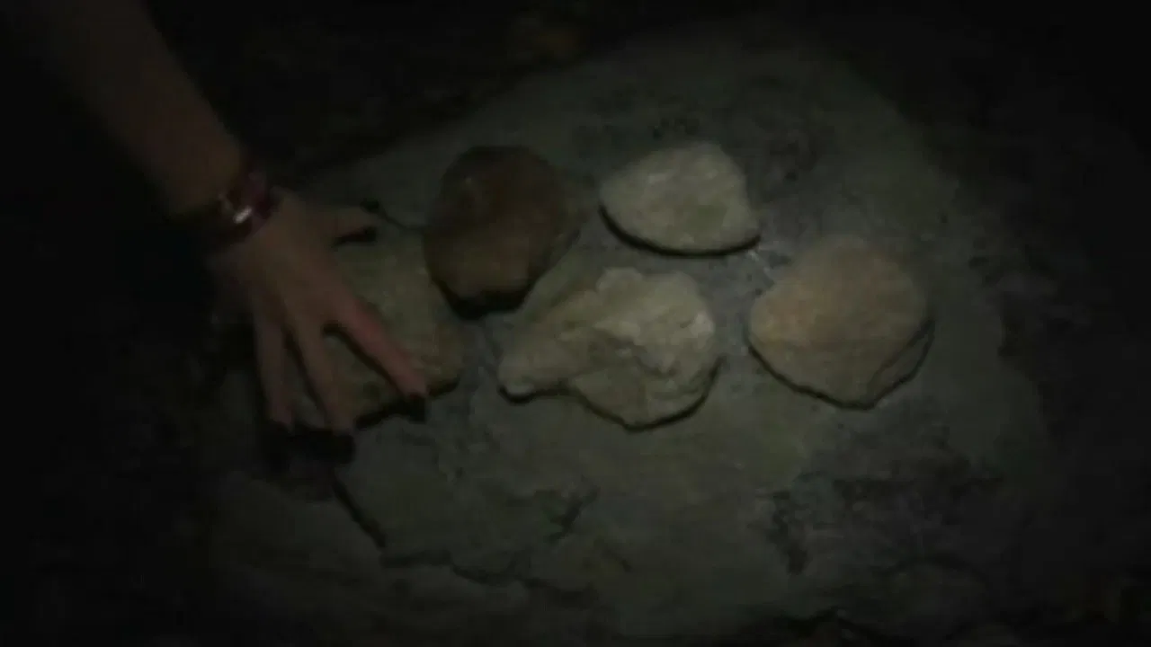 Under the Ravens Wing backdrop