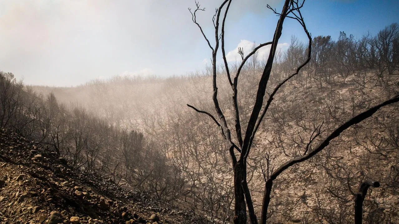 La tierra que arde backdrop