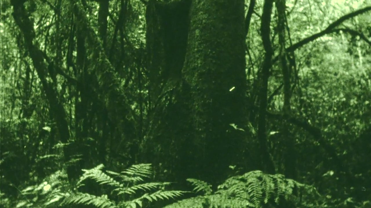 The Eyes in the Woods and the Taste in the Water backdrop