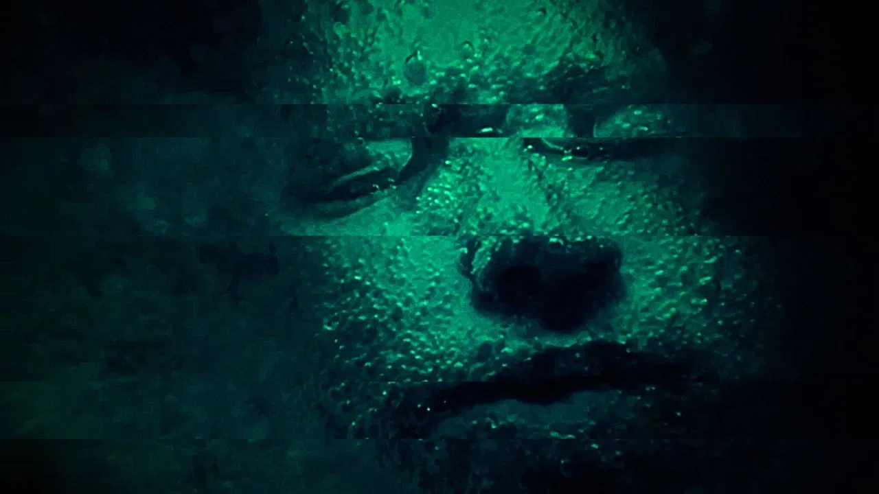 Three Wolves backdrop