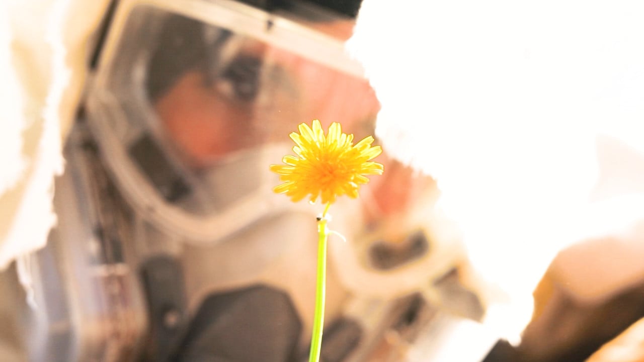 Bajo el Sol backdrop