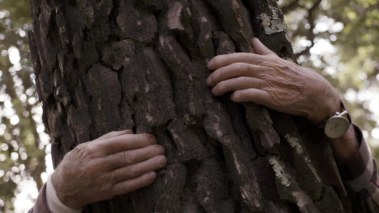 Une vie sans mystère backdrop
