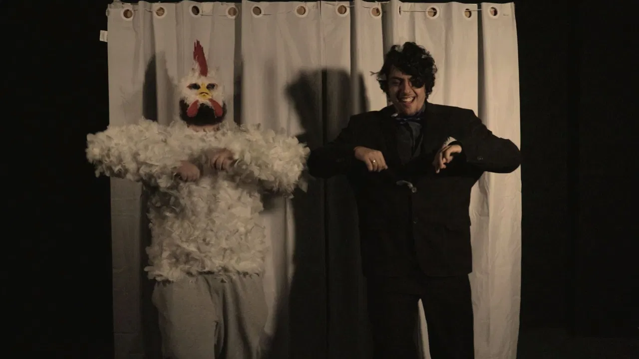 Rei dos Galos backdrop