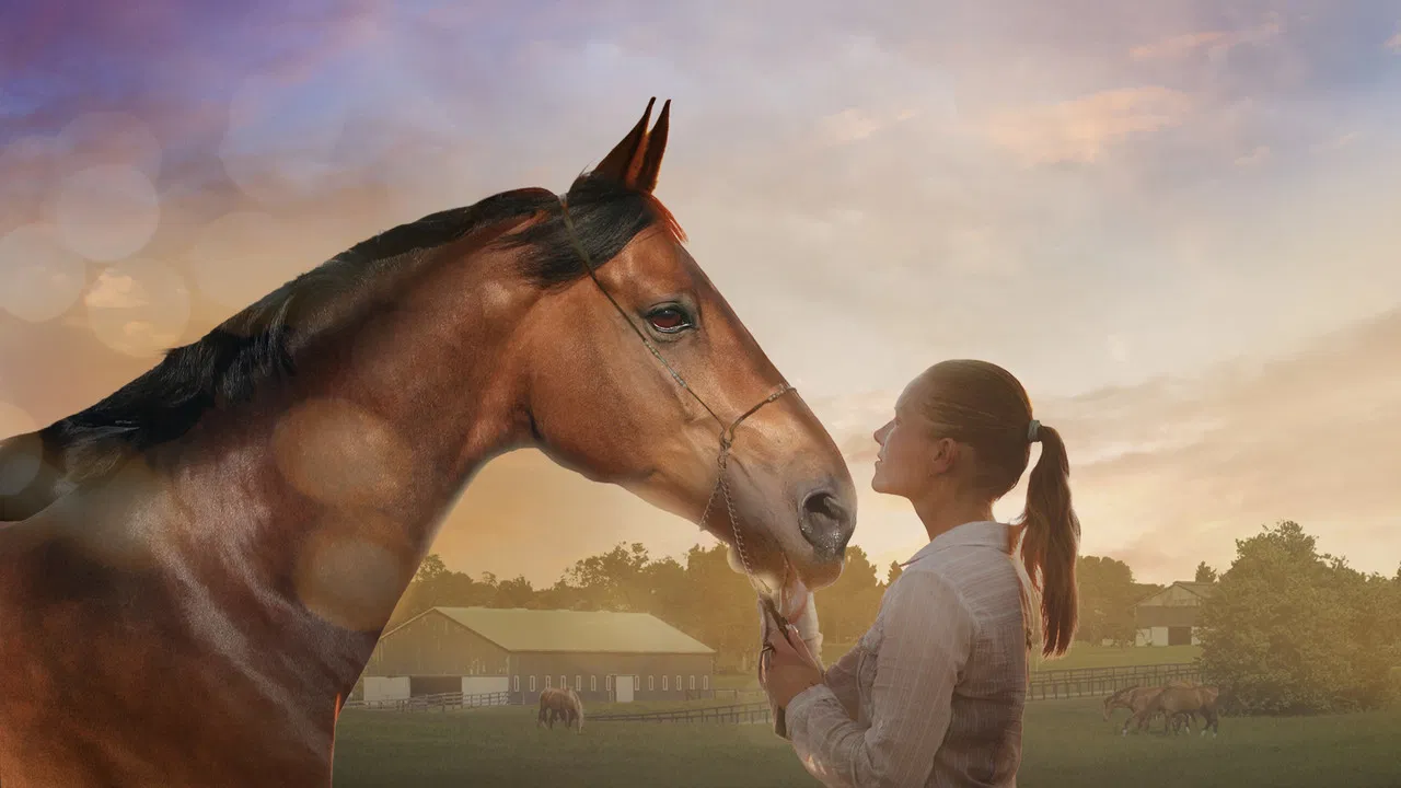 A Horse Tale backdrop