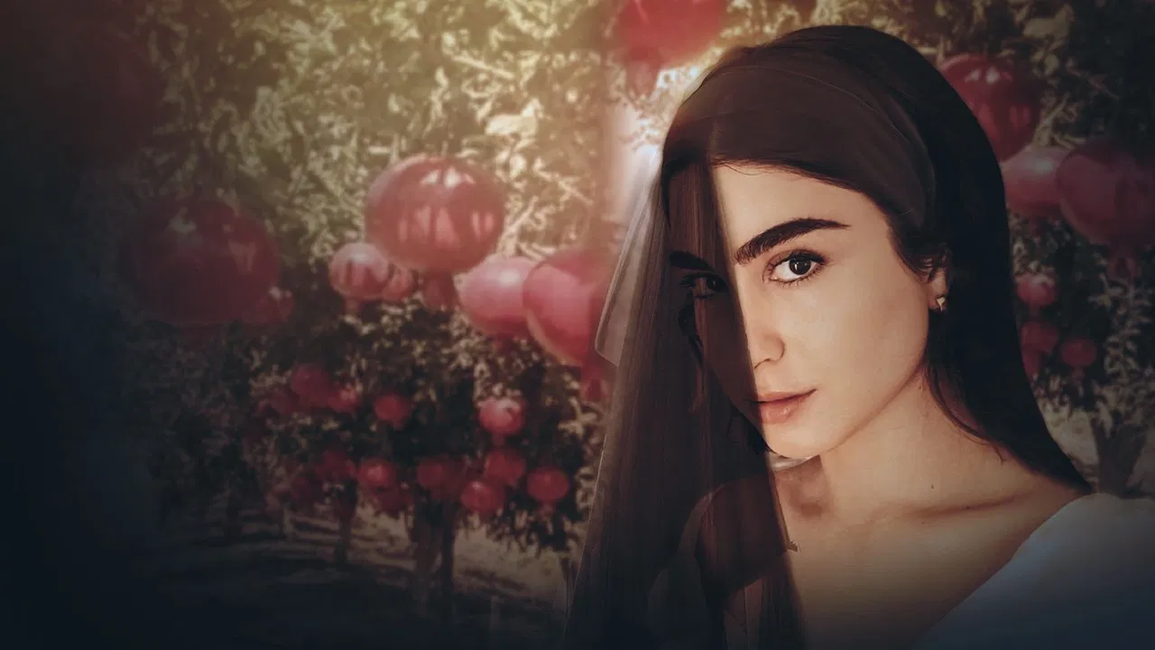 Pomegranate backdrop