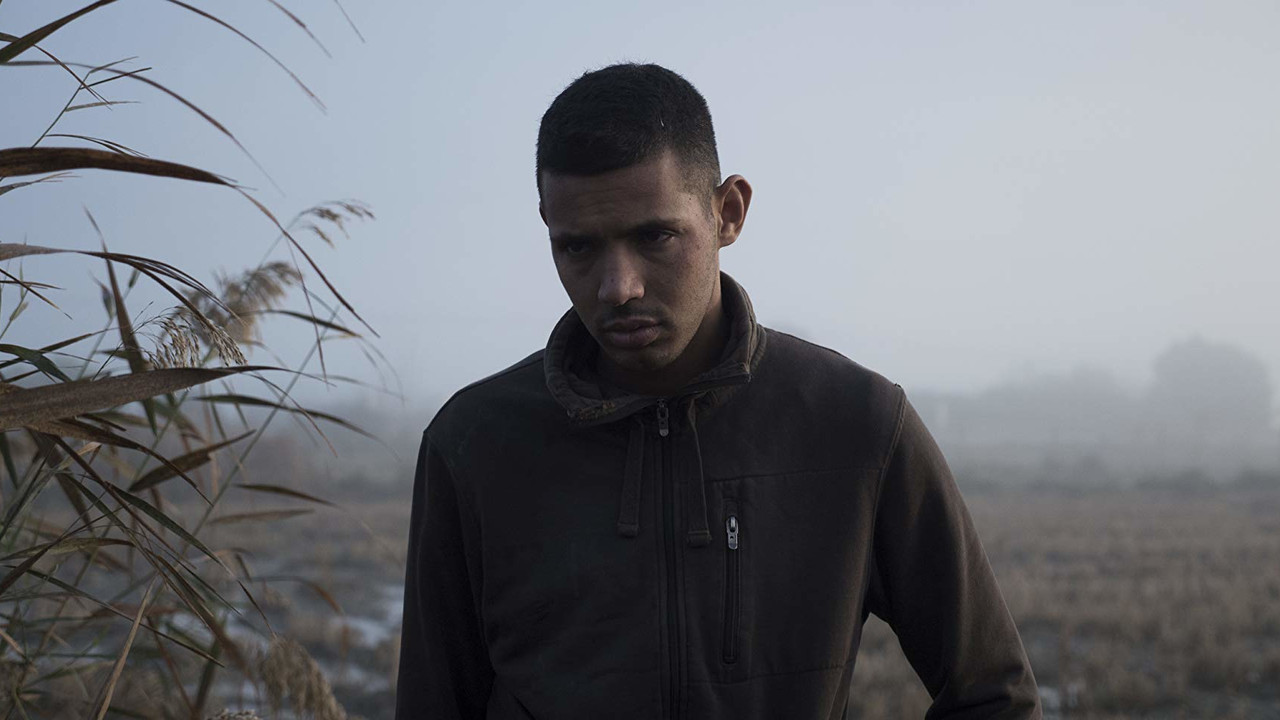 The Best Option backdrop