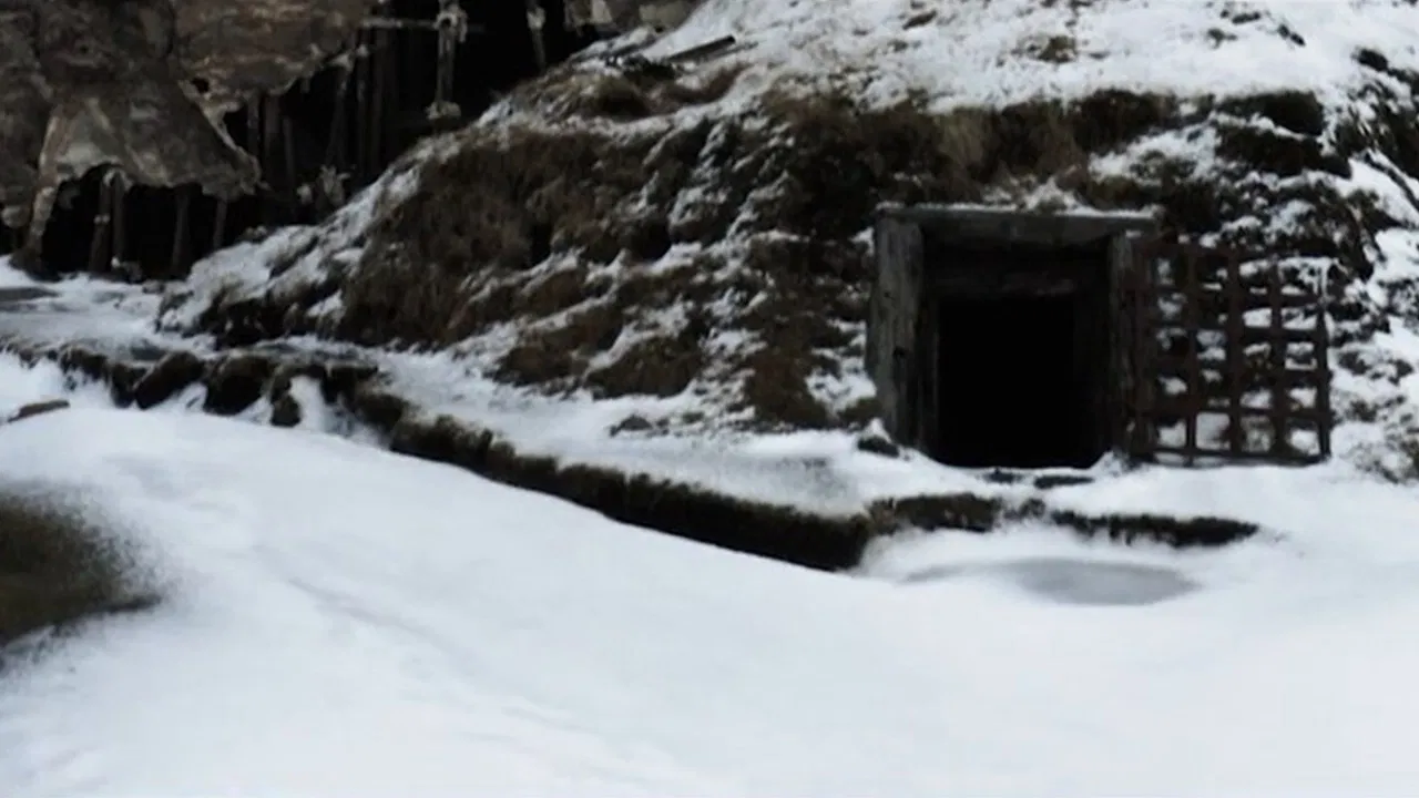 In Vitro (all the love mix) backdrop