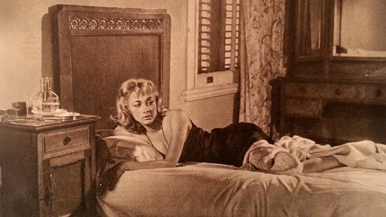 Berduş Milyoner backdrop