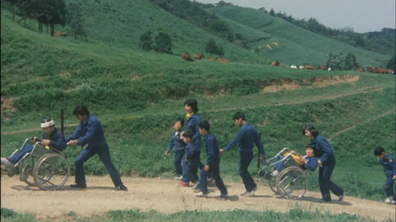 The Silk Tree Ballad backdrop