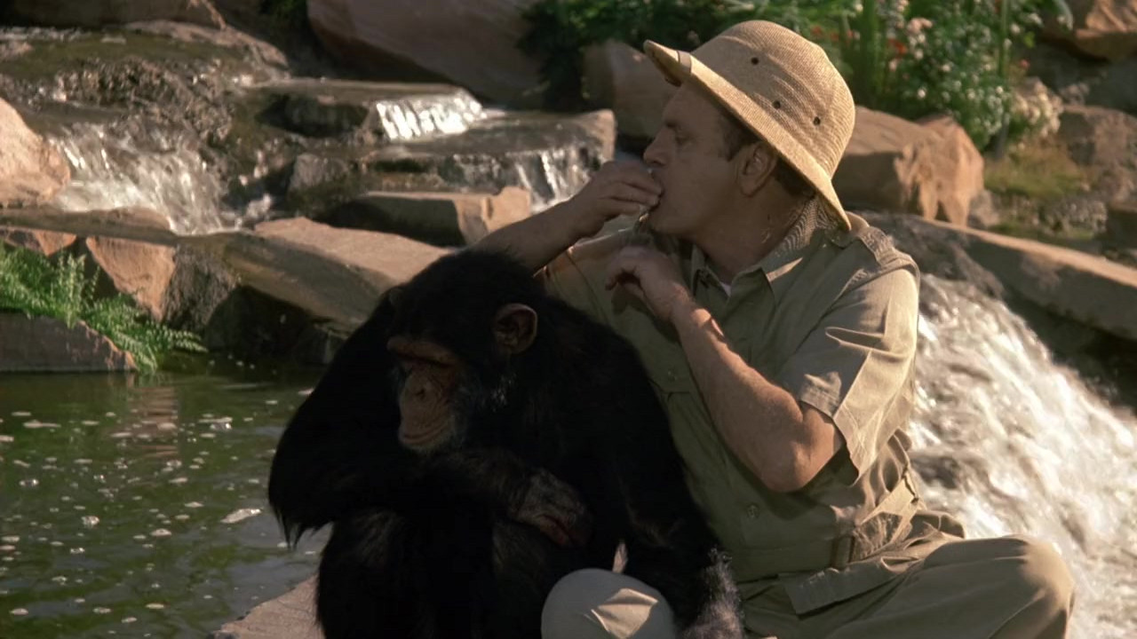 The Entertainers backdrop