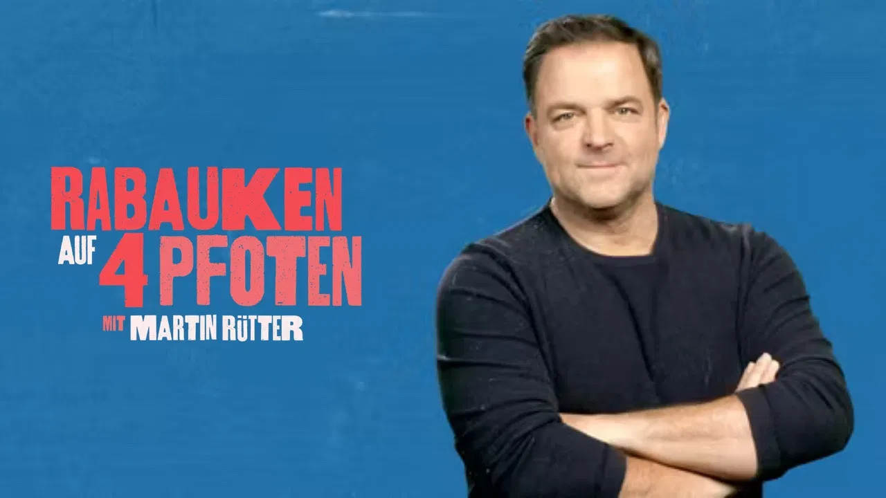 Rabauken auf 4 Pfoten - Mit Martin Rütter backdrop