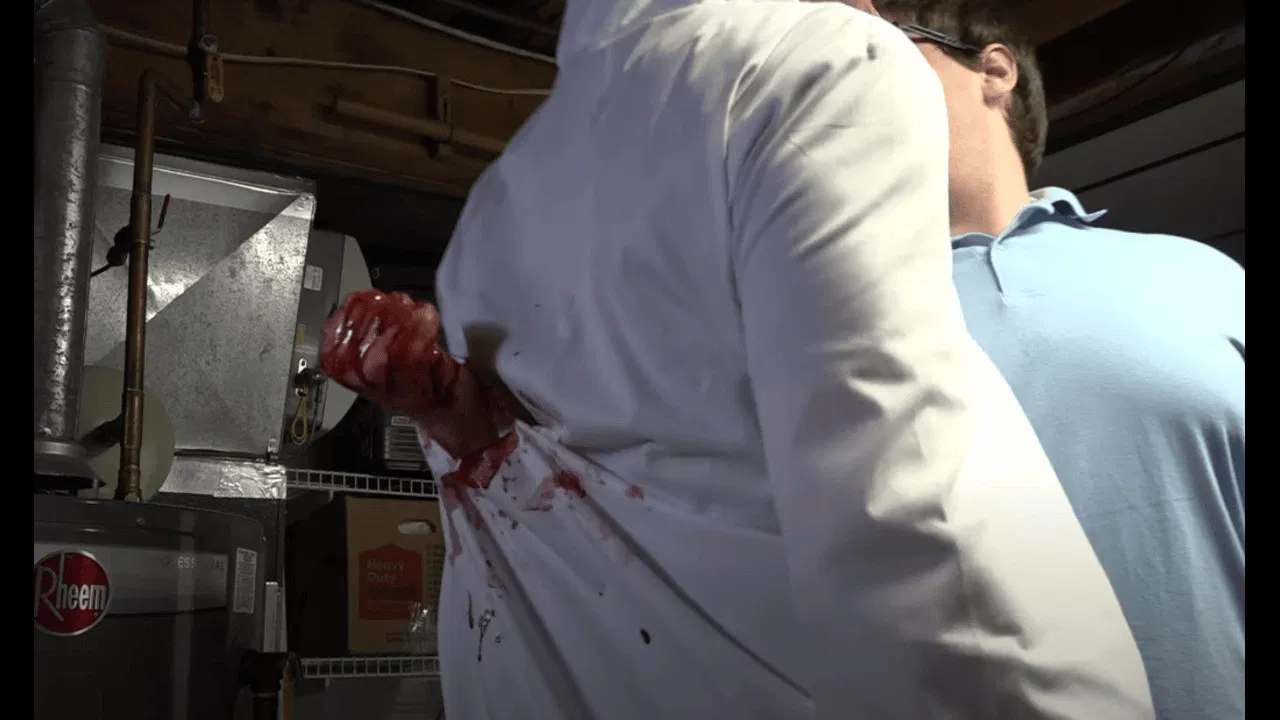 MISS ROBOTO backdrop