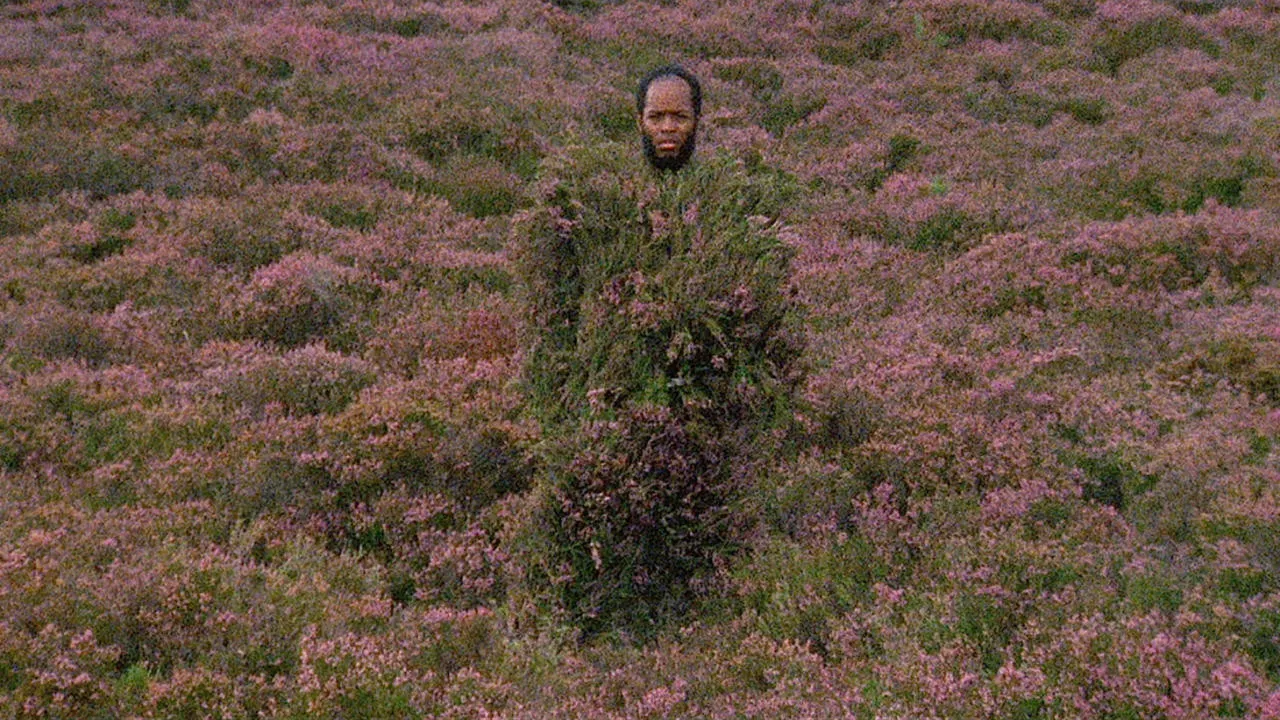 Hugh the Hunter backdrop