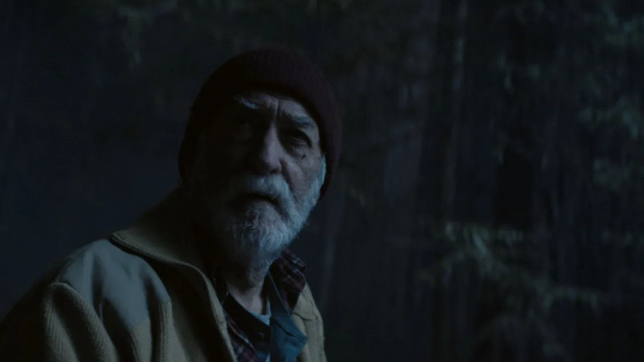 Where the pines lament backdrop