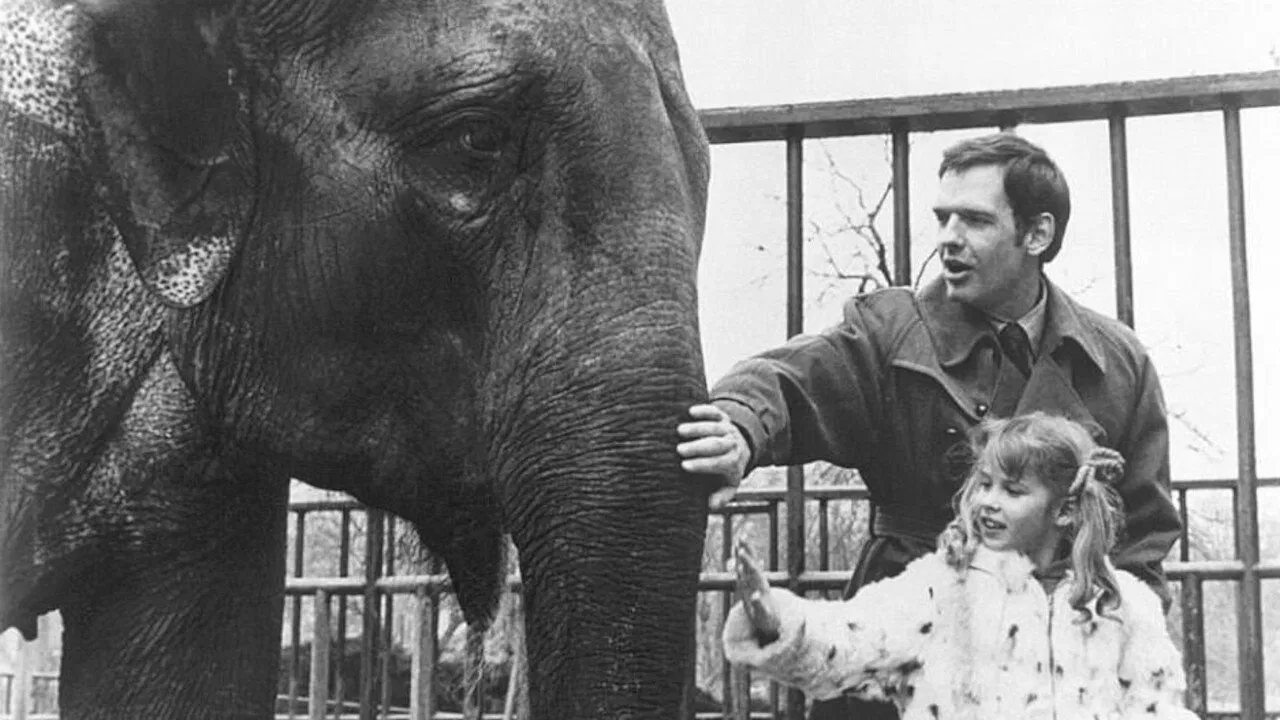 The Way We Live Now backdrop