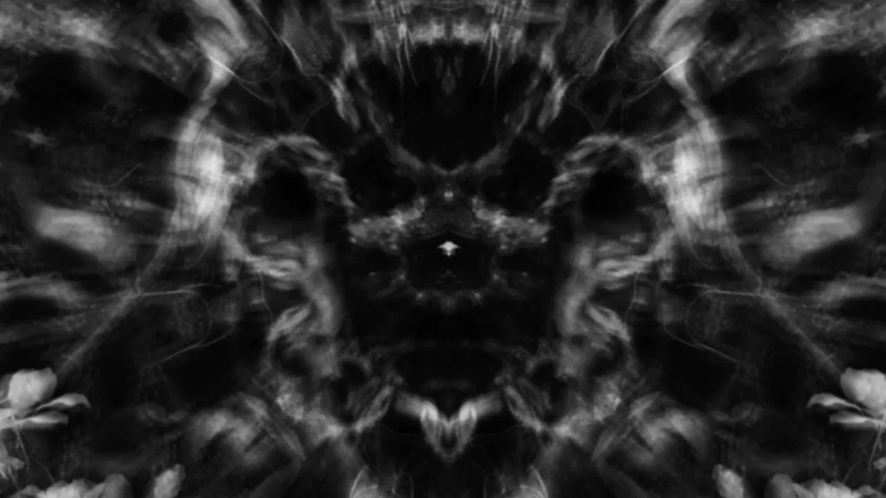 Meditations in Black and White I: Roots backdrop