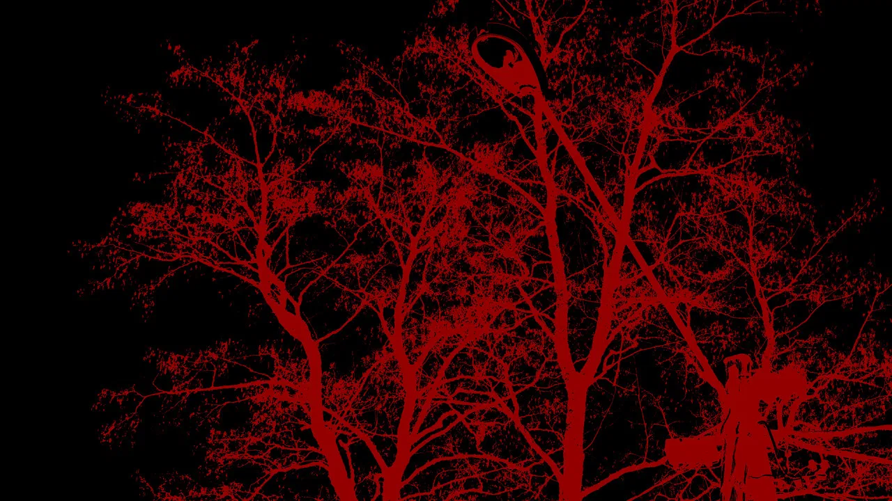 The Sounds of 7am backdrop