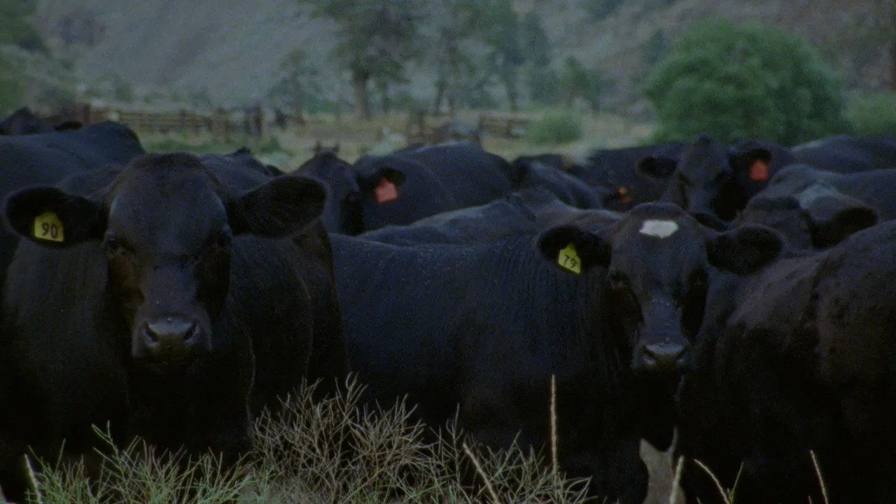 A Forgotten Place backdrop