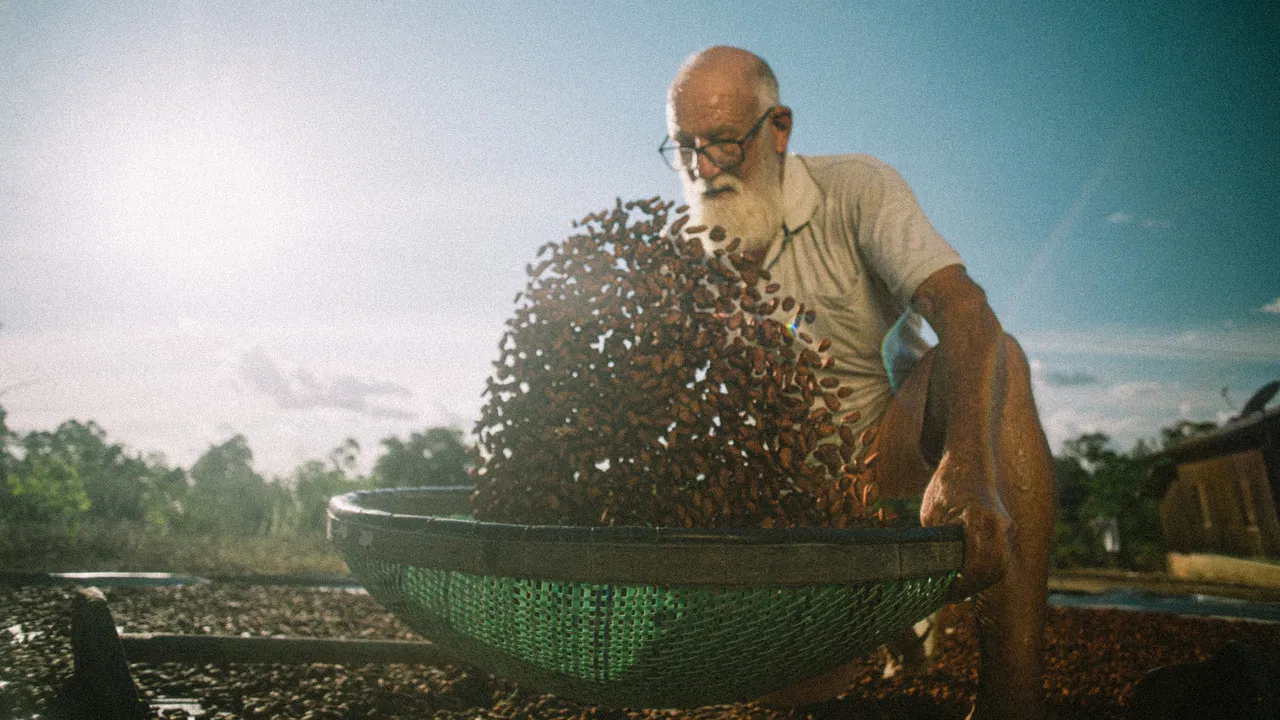 Now We Live in Paradise backdrop